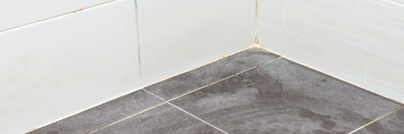 The corner of a bathroom where white wall tiles meet a grey tiled floor, the grout line along the join darkened and grimy.