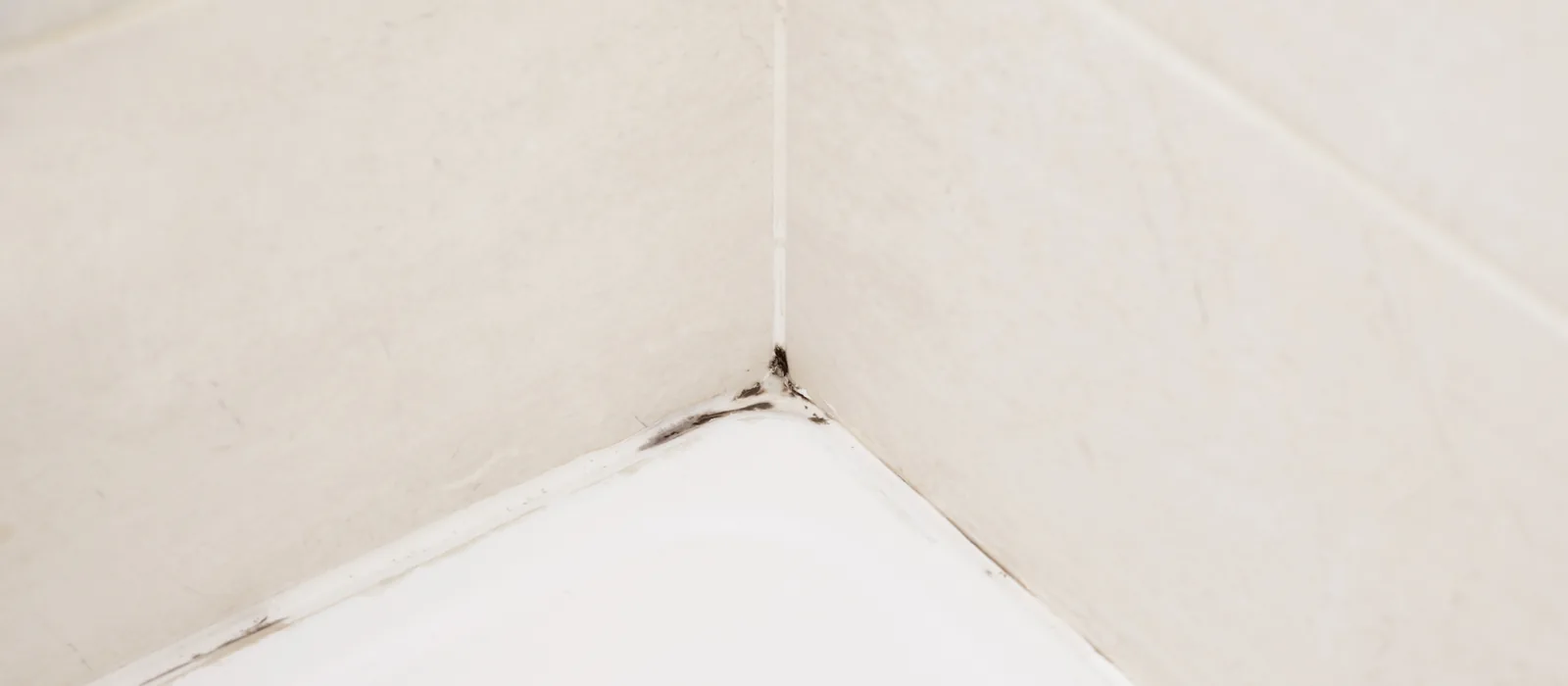 Black mold growing along the silicone caulk joint in the corner of a white tiled shower