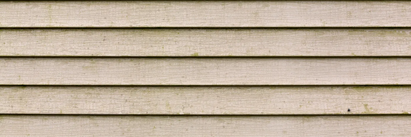 Beige vinyl siding on the outside of a house, streaked green and grey with mildew growth.
